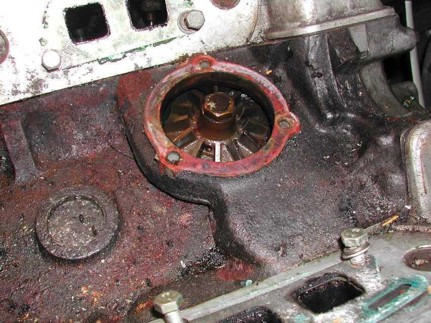 I had originally intended to install a new pump that I had acquired